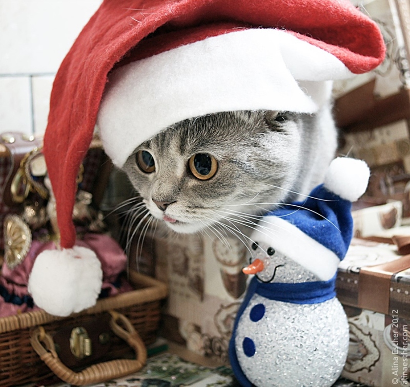 xingkong体育官网登录