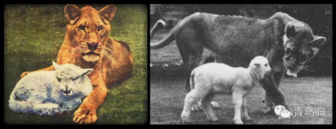 “xingkong.com”2015城市园林景观产业博览会落地苏州(图4) 星空体育官网