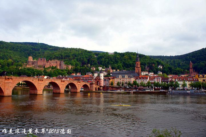 呼和浩特园林绿化多举措迎建区70周年:星空官网登录(图1) 星空官网登录