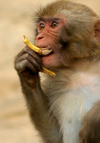 xingkong体育官网登录