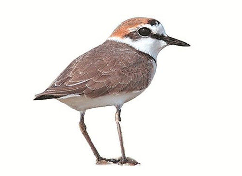 xingkong体育官网登录