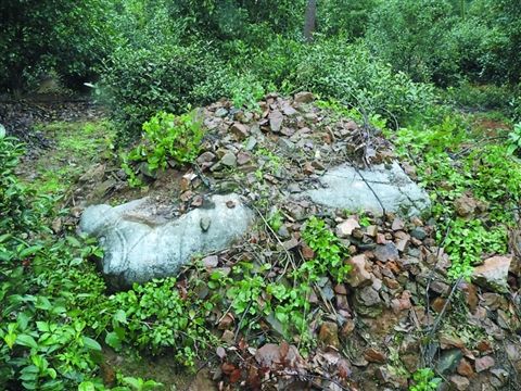 中国共产党中央委员会事情条例-xingkong体育官网登录(图4)