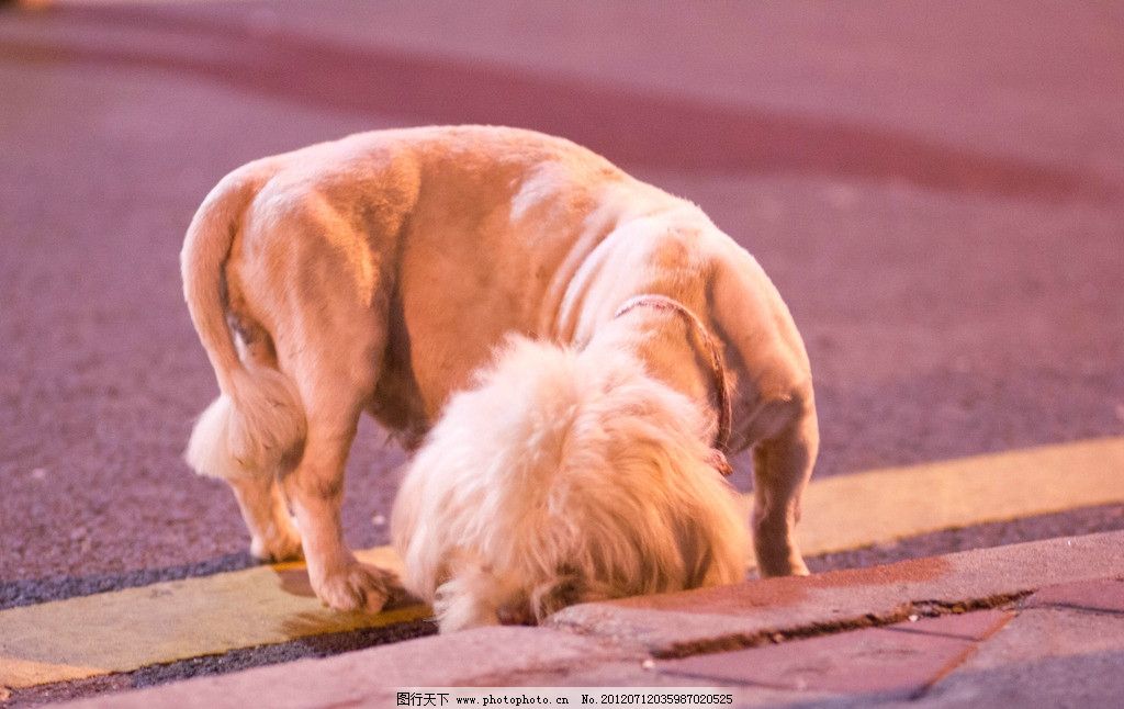 星空官网登录：北大学姐: 文综各科要能这样学, 轻松考过230！(图4)