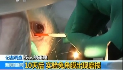 xingkong体育官网登录