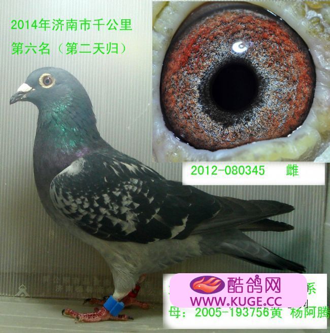 “大话西游”影视主题公园落户乌镇国际旅游区:xingkong.com(图3) 星空官网登录