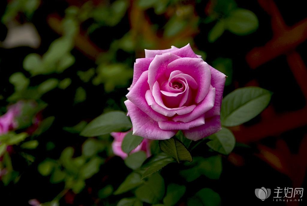 “线上亲民”是为“线下近民”_时事政治_中公教育网‘xingkong体育官网登录’(图2) 星空体育官网