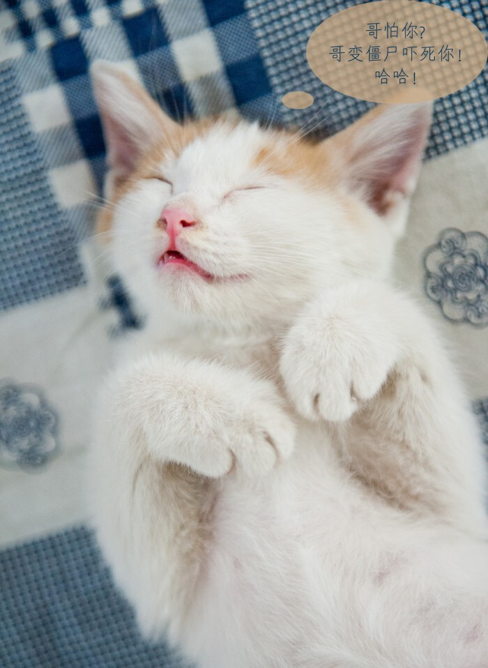 蚂蚁长成大象 新一轮博弈正在开场|星空官网登录(图3) xingkong体育官网登录