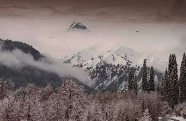 宗关附近装修公司有哪些?‘星空体育官网’(图4) 星空体育官网