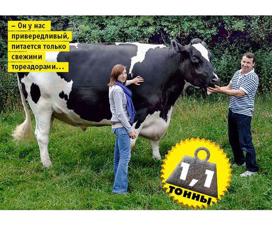 宗关附近装修公司有哪些?‘星空体育官网’(图1) 星空体育官网