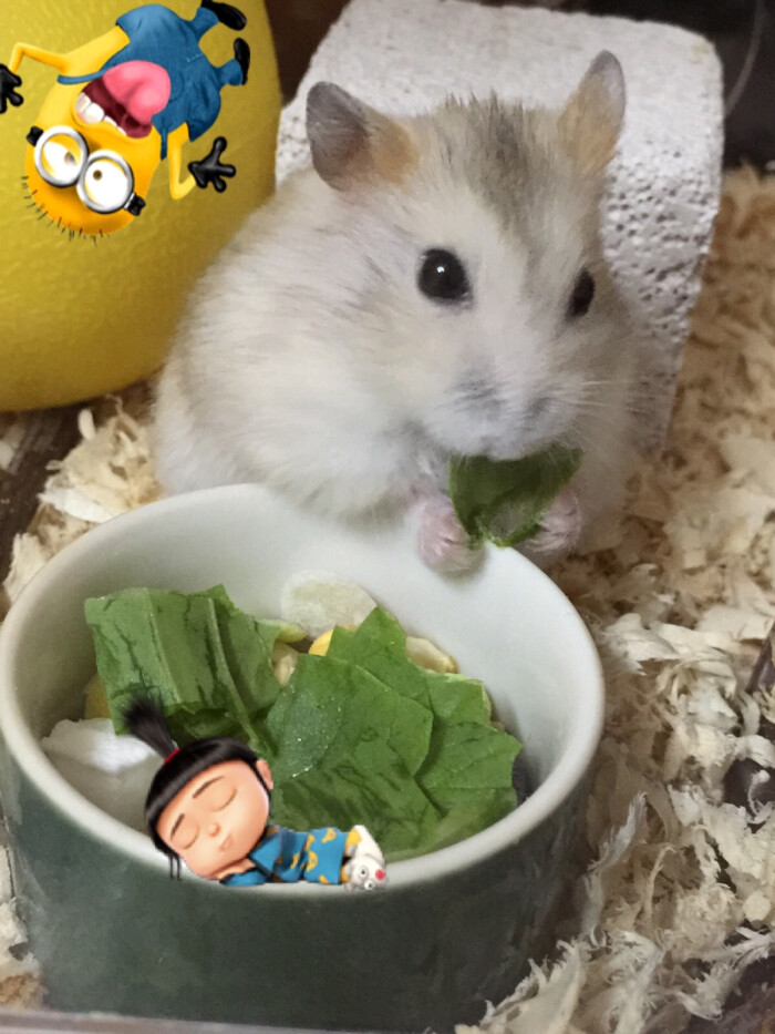 官员敢索好处费是自由裁量权过大_时事政治_中公教育网:xingkong体育官网登录(图1) 官员敢索好处费是自由裁量权过大_时事政治_中公教育网:xingkong体育官网登录(图1)