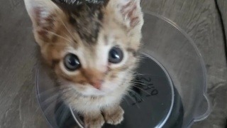 “书记管供暖”是舆论监督下的“闻过即改”_时事政治_中公教育网‘星空体育官网’(图2) 星空官网登录