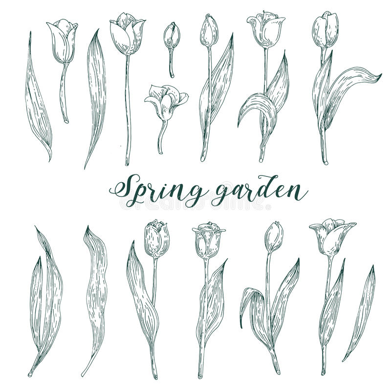 行政质料用词大全!机关文秘必备!(建议收藏)_xingkong.com(图1) 星空官网登录