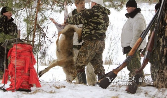 装修后怎样去除胶条印?-xingkong体育官网登录(图2) 星空官网登录