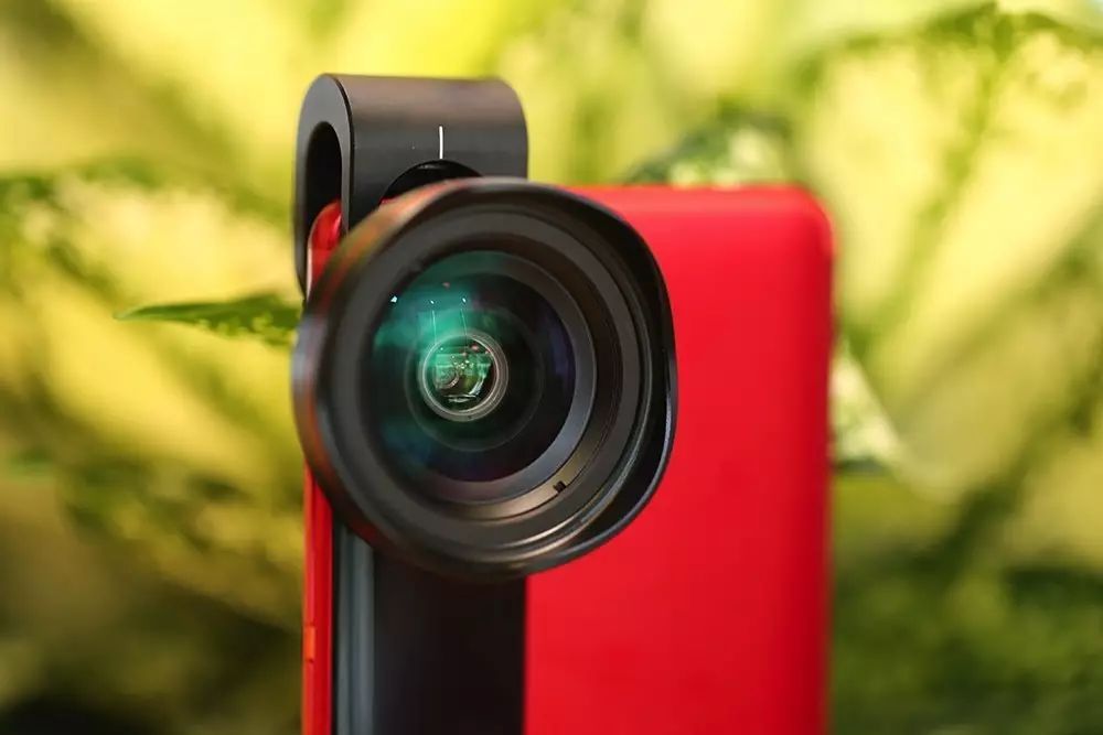 星空官网登录_北京朝阳市监局:对嗨学网启动调查 违法行为严厉惩处(图3)