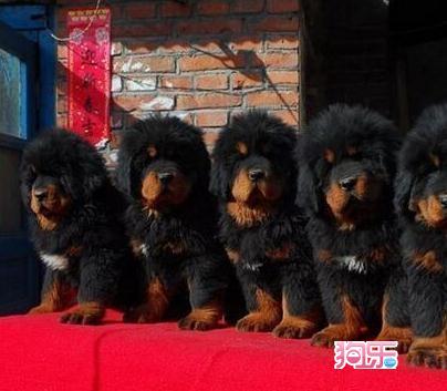 “xingkong.com”白银期货创近4年最高收盘价 黄金连续第二日收高(图2) 星空体育官网