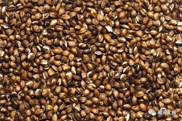 星空体育官网|印媒：印俄正在斯里兰卡等国开展民用核能合作(图3)