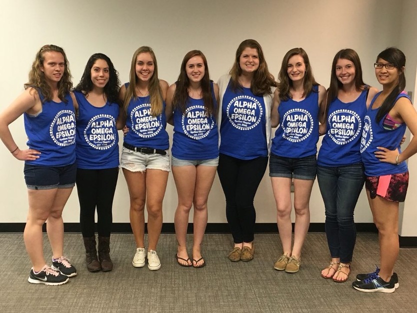 ‘星空体育官网’常态化的政务直播才不是作秀_时事政治_中公教育网(图1) 星空体育官网