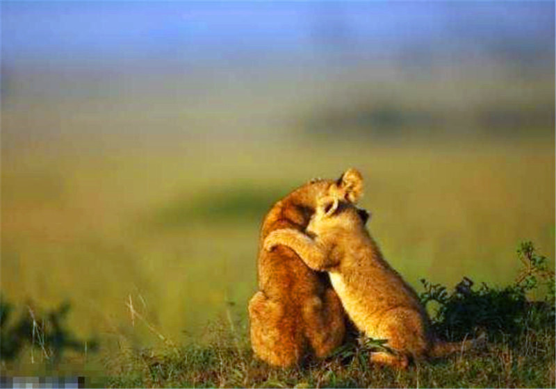 xingkong体育官网登录-甘薇被限制出境后名下物业遭拍卖:起拍价1545万元(图1) 星空官网登录