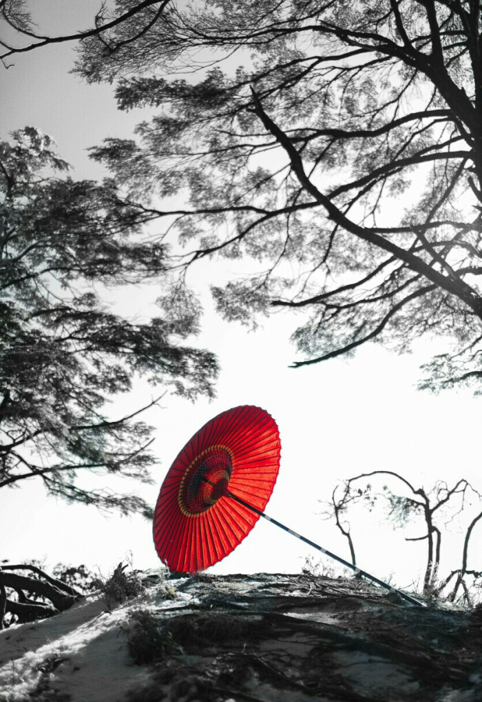 【xingkong.com】中国方案点亮金砖合作第二个“金色十年”_时事政治_中公教育网(图1) 星空体育官网