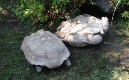 头条号写作赚钱教程 职业作家教你一个万能花样 五个步骤 好用:xingkong.com(图1)
头条号写作赚钱教程 职业作家教你一个万能花样 五个步骤 好用:xingkong.com(图1)