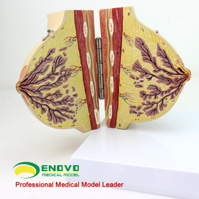 xingkong体育官网登录