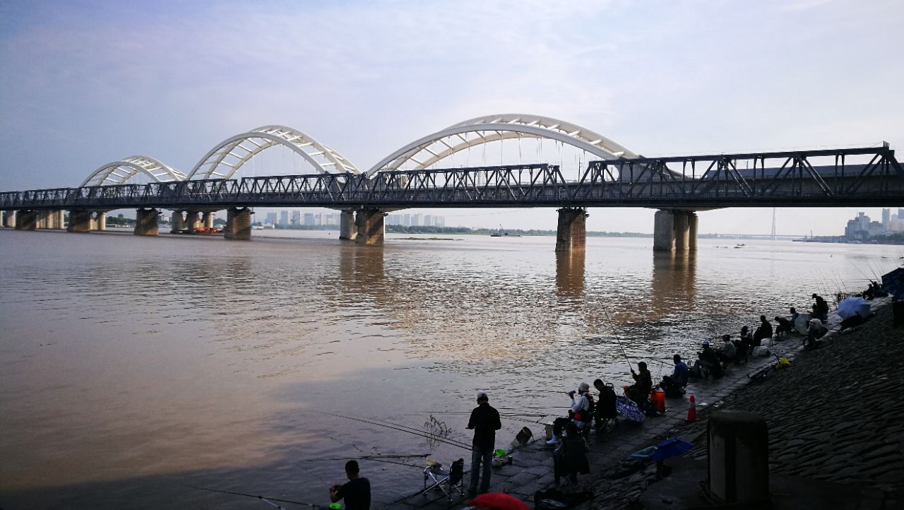 “xingkong.com”昆明种植立体花盒扮靓城市道路(图3) xingkong体育官网登录