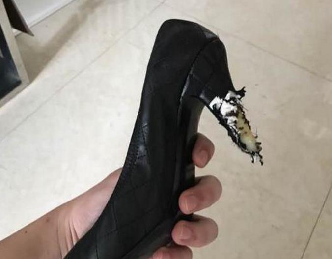 中东四国要卡塔尔关闭半岛电视台遭人权专家谴责|星空体育官网(图3) 星空官网登录