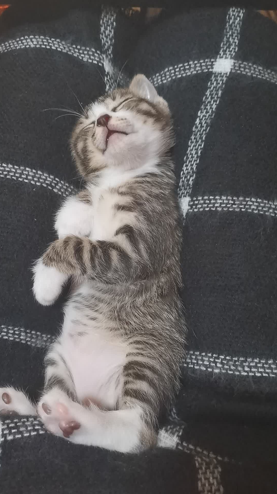 把蓉城温暖带给凉山儿童 今日头条《温暖一度》公益行启动【xingkong体育官网登录】(图4) xingkong体育官网登录