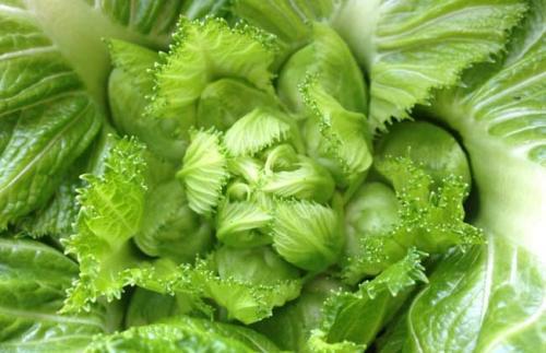 【星空官网登录】普京下令举行大规模突击演习 近15万人参加(图1) 星空体育官网