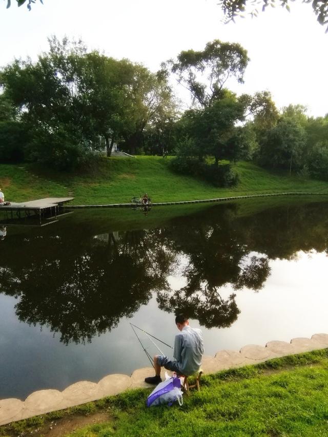 锦屏:“林海杉乡”向生态园林城市嬗变“星空官网登录”(图2) 星空体育官网