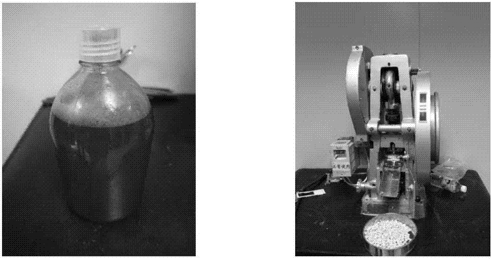 锦屏:“林海杉乡”向生态园林城市嬗变“星空官网登录”(图4) xingkong体育官网登录