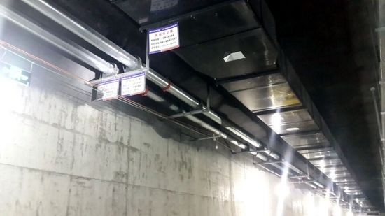 安徽:力促绿化工程建设三提升“xingkong.com”(图1) xingkong体育官网登录