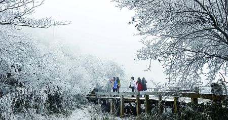 扎里夫“喊话”印度无视美国制裁、购买伊朗原油:咱们之间没有政治问题“星空体育官网”(图3) 星空官网登录