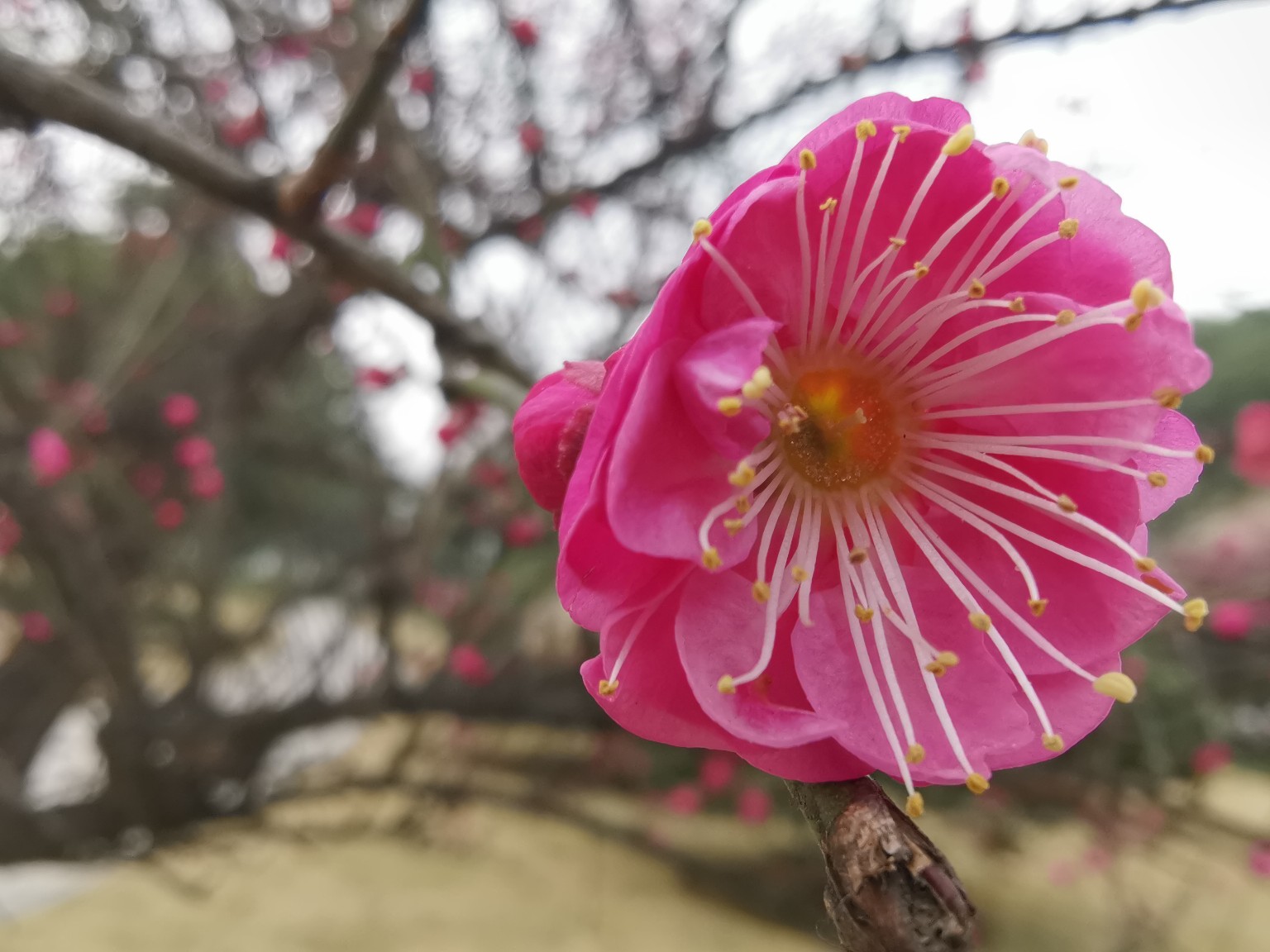 北京本周五就能看电影了,但这些事项要注意‘xingkong.com’(图3) 北京本周五就能看电影了,但这些事项要注意‘xingkong.com’(图3)