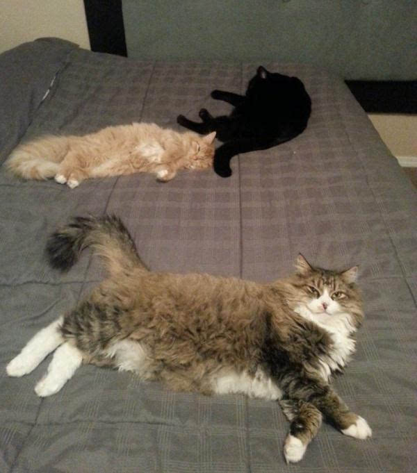 世界上那些不可能的建筑“星空体育官网”(图4) 星空官网登录