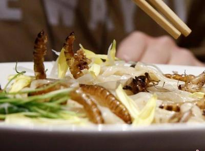 xingkong体育官网登录