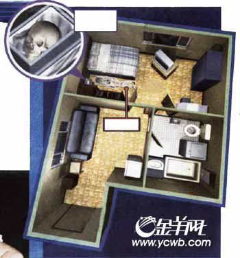 xingkong体育官网登录