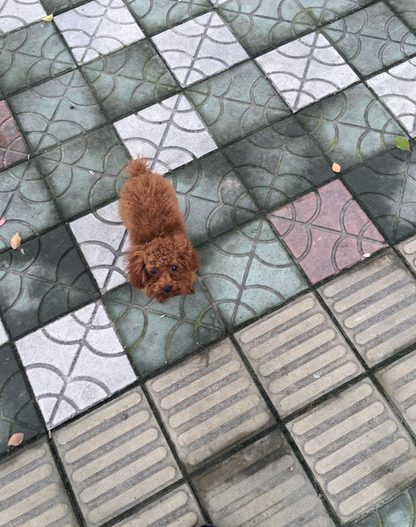 xingkong体育官网登录