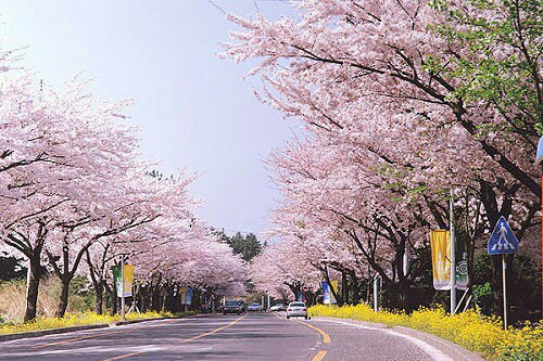 官宣!年内不举办上海网球大师赛等多项国际体育赛事【xingkong体育官网登录】(图1) 星空体育官网