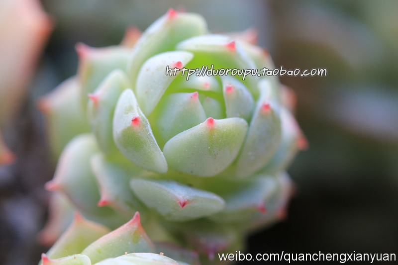 雄伟壮观的Cutty Sark博物馆|xingkong.com(图1) 星空官网登录