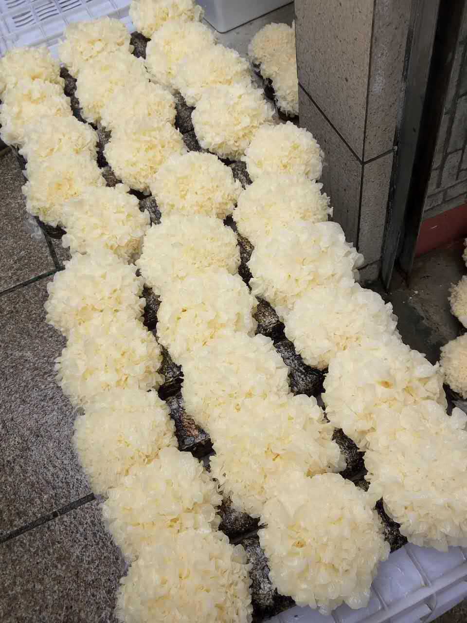 布衣柜什么样的好 布衣柜怎么挑选|星空官网登录(图1) 星空体育官网