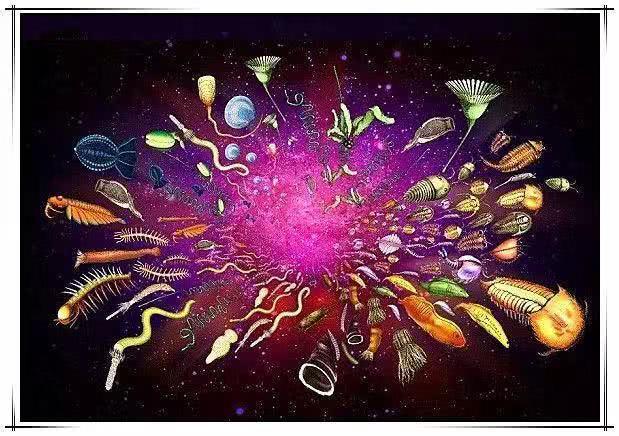 星空体育官网|风水象如何进行摆放?(图1) 星空体育官网