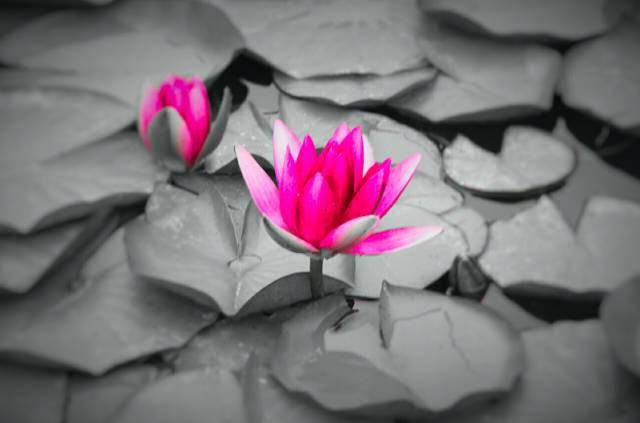 xingkong体育官网登录