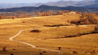 xingkong体育官网登录