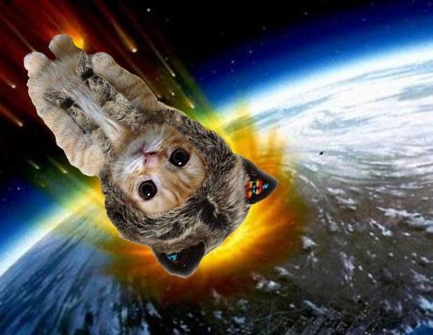 xingkong体育官网登录