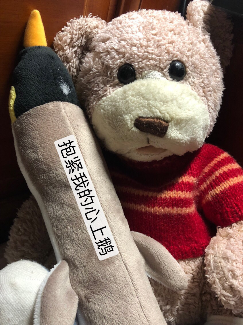 xingkong体育官网登录