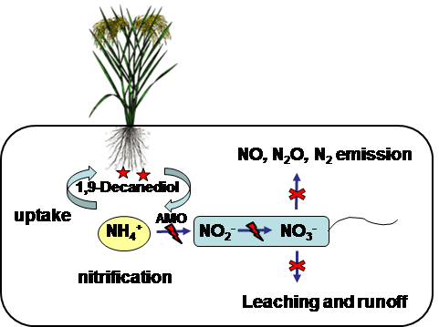 根治“会呼吸的痛”，动“顶戴”才能见晴空_时事政治_中公教育网【星空体育官网】(图2)