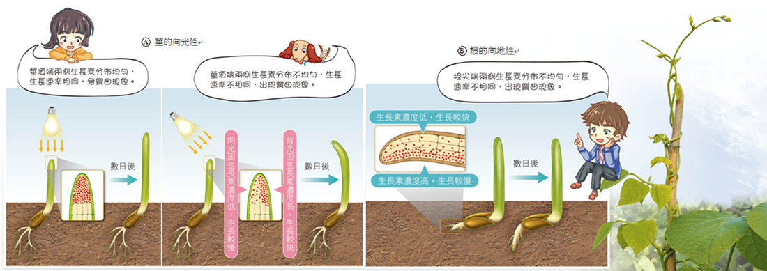 一号文件剑指“脱贫造假”精准对症_时事政治_中公教育网|星空体育官网(图3)